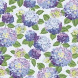 Hydrangeas